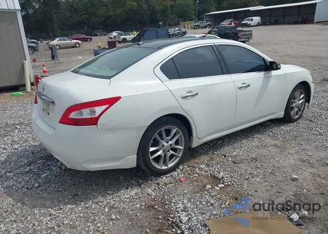 2011 Nissan Maxima 3.5 Sv z USA, uszkodzony, nr VIN 1N4AA5AP9BC840960